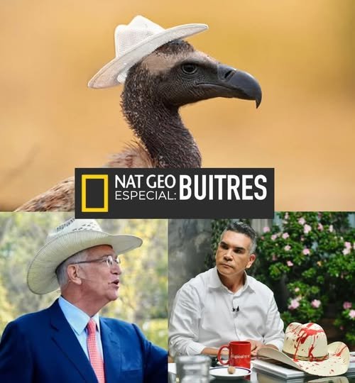 577106502 122162062070756477 2051551357242288445 n