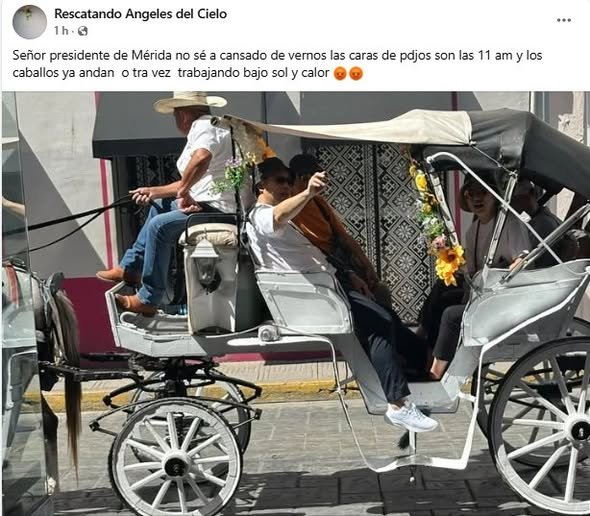 577350067 122161916660756477 4264999321840153889 n