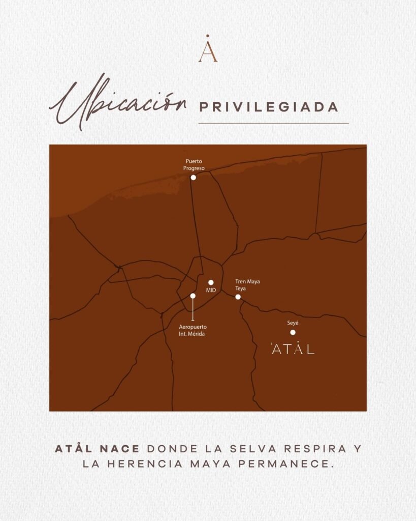 586927893 122164404290756477 6899174407892609117 n