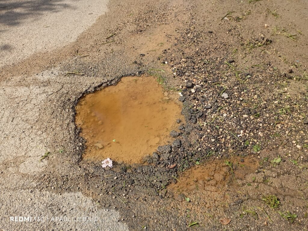 592722343 122166097712756477 1567227139152262666 n