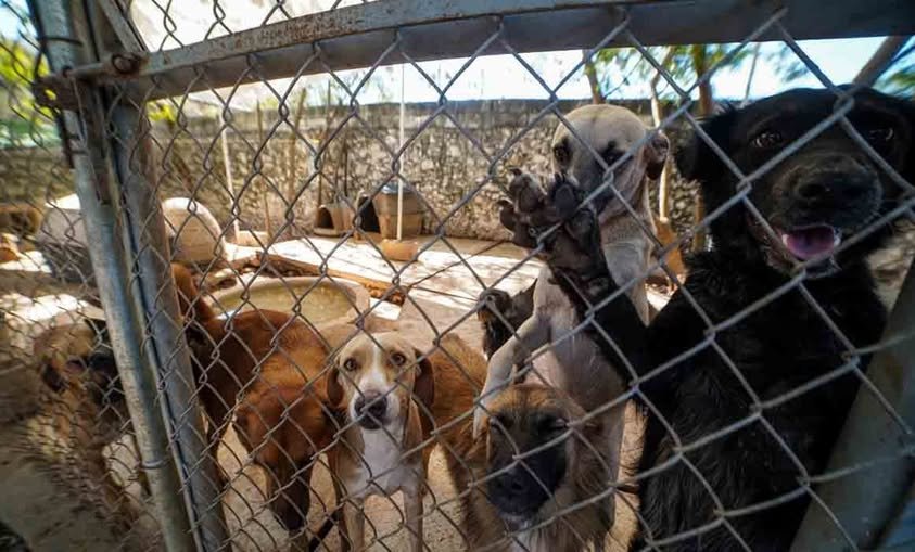 593901202 122165983988756477 6903422988480532136 n