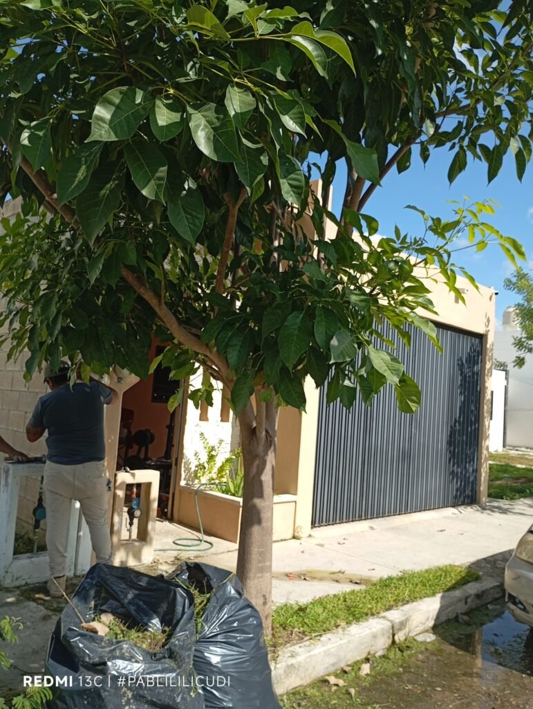 593920429 122166097718756477 3634130811594031452 n