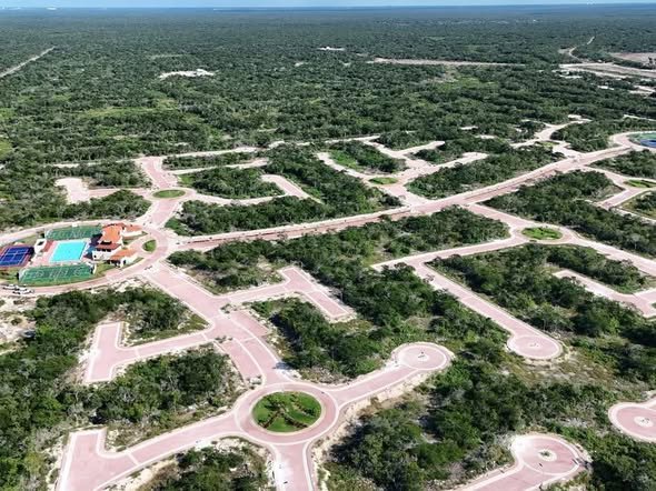 607421506 122170428548756477 6722264022190994363 n