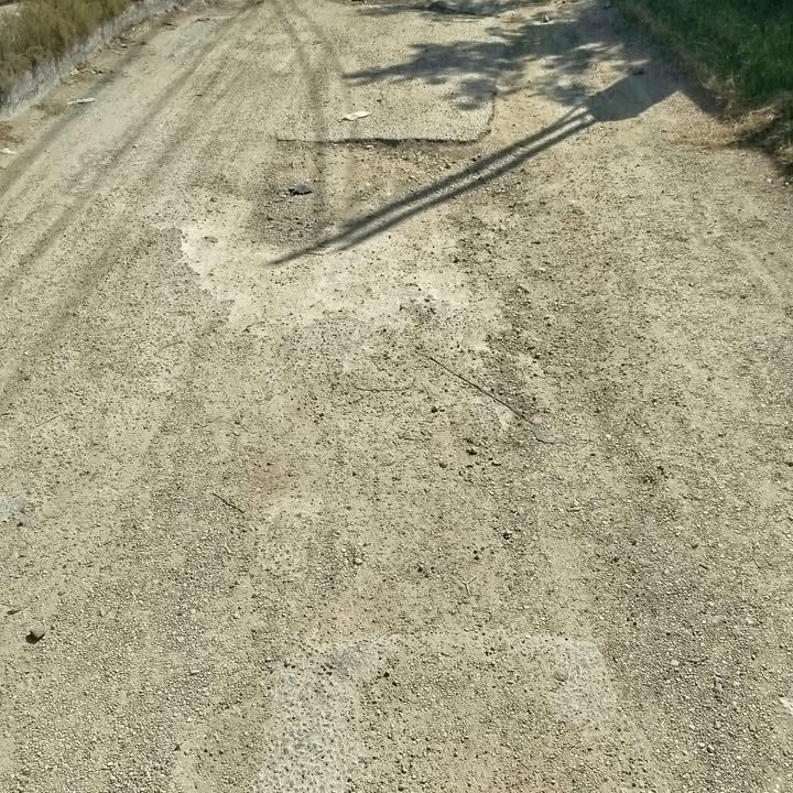 619661678 122173879778756477 1894983023846370623 n