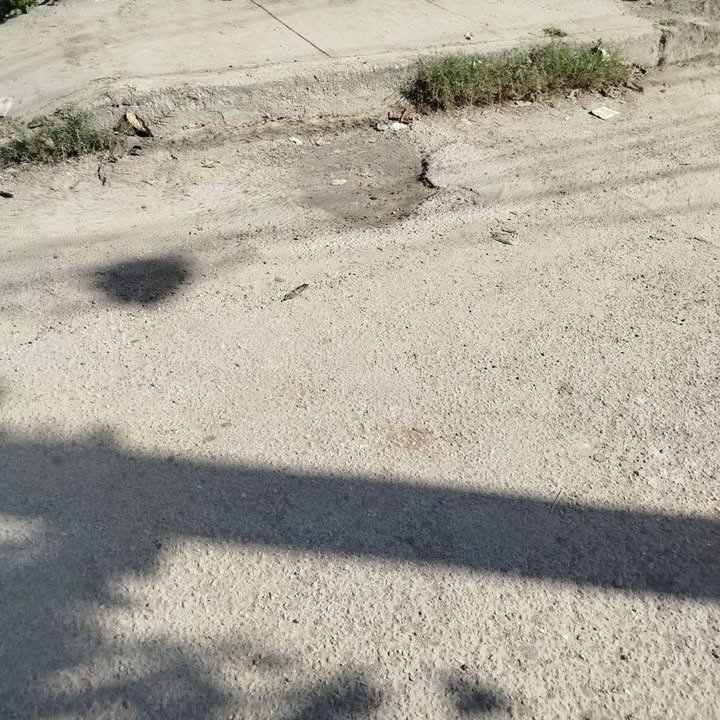 619744833 122173879850756477 4780072134263462804 n