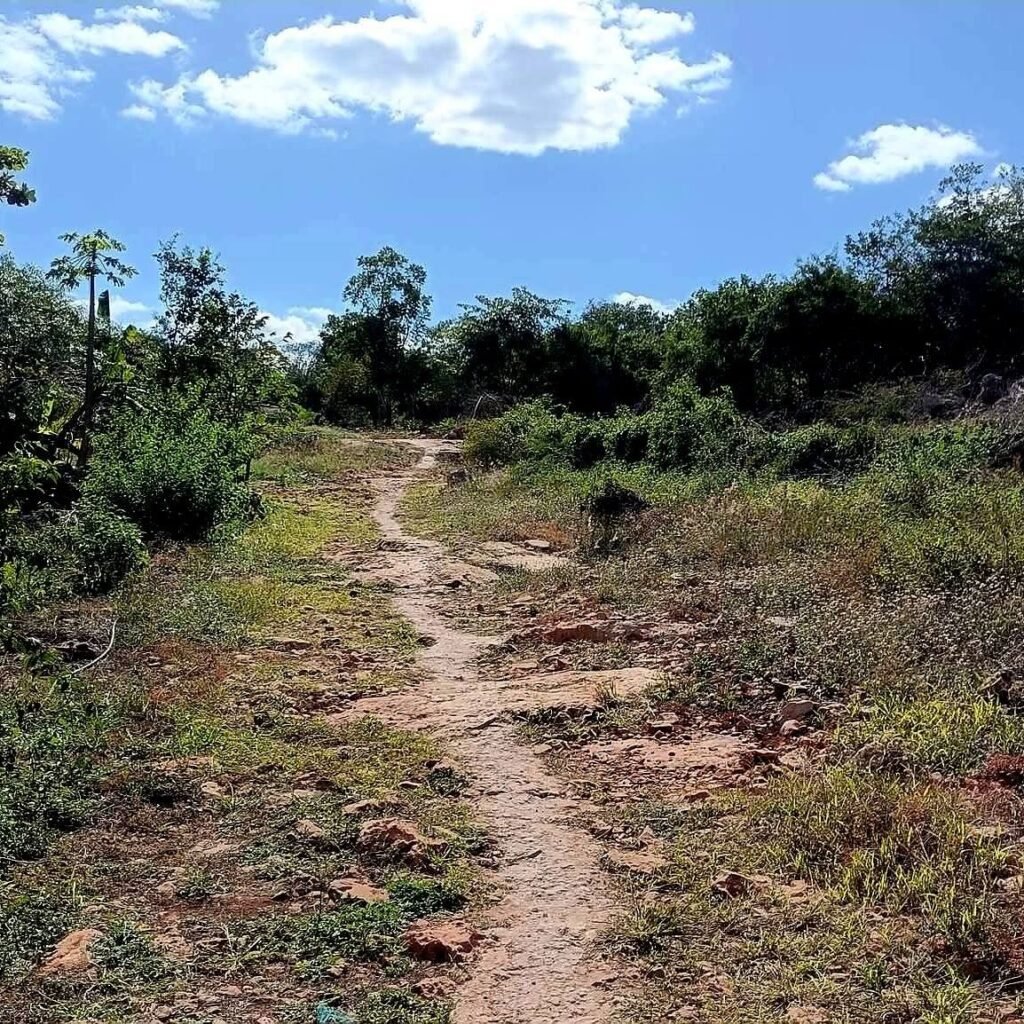 Frío, hambre y abandono: Oxkutzcab desmiente el discurso oficial 626825878 122175703886756477 6513629877629703123 n