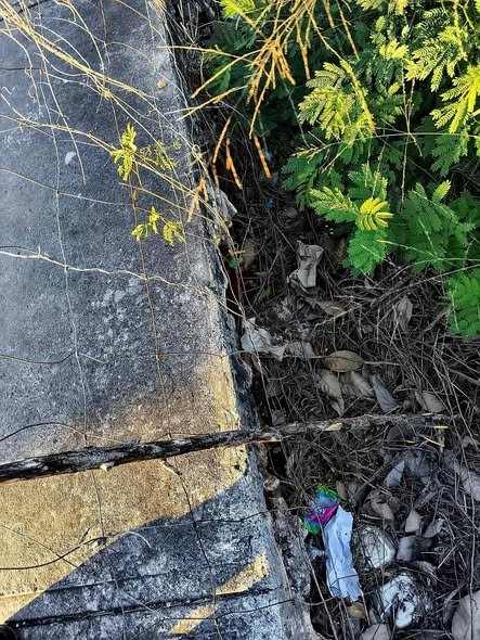 627652504 122176156130756477 8491031716731740830 n