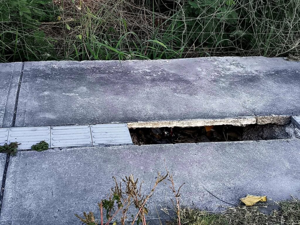 631185918 122176156124756477 6508409610618151546 n