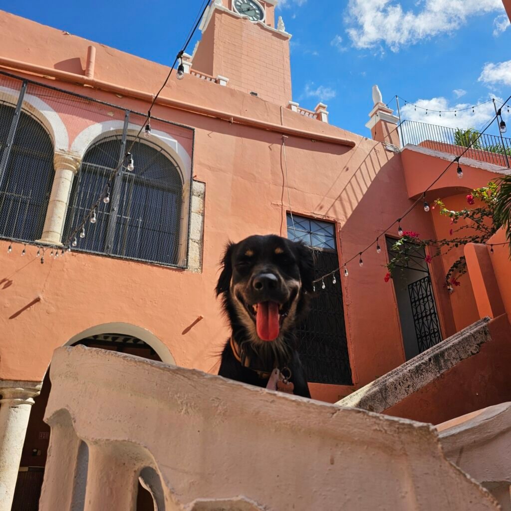 634388829 122177583488756477 5180333158623648637 n