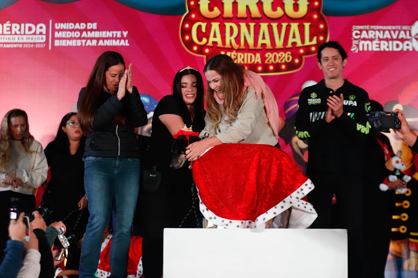 636689031 122177441408756477 3122837699622232814 n