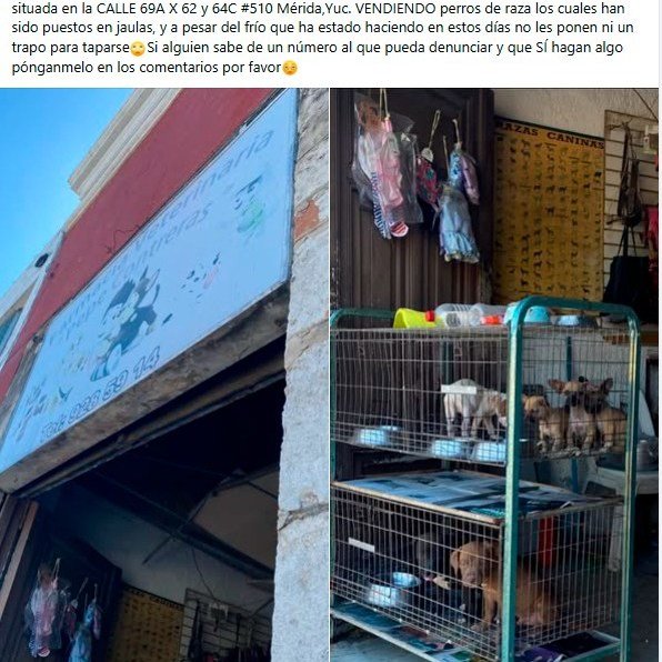 642494988 122179092560756477 7794629841244408524 n