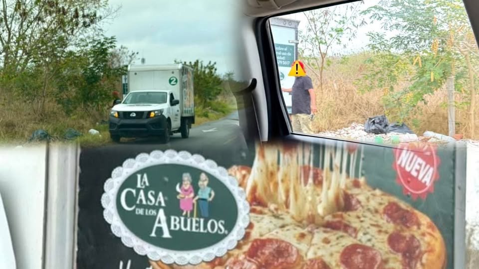 644209785 122179279376756477 2604024418515469074 n