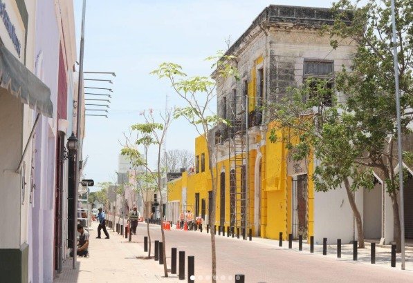 650081187 122181106874756477 8548400507258062929 n