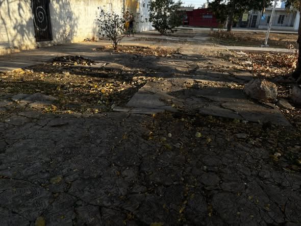 653702866 122182149524756477 5342061145824090632 n