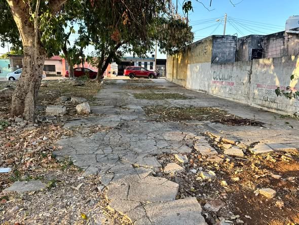 654255467 122182149560756477 140806147235114176 n