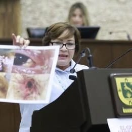 656845146 122182786856756477 8868093078944513751 n