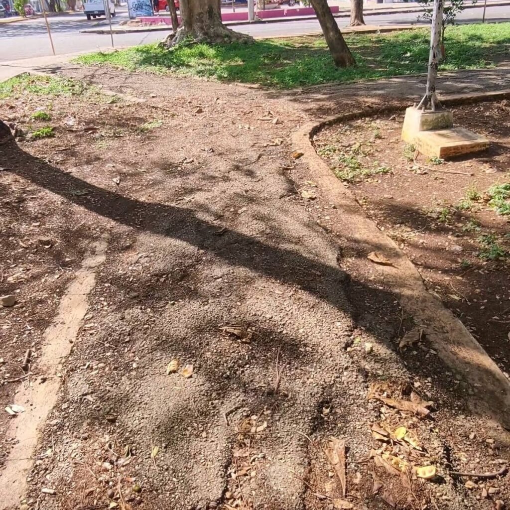 665935863 122184362216756477 5440974107754861524 n