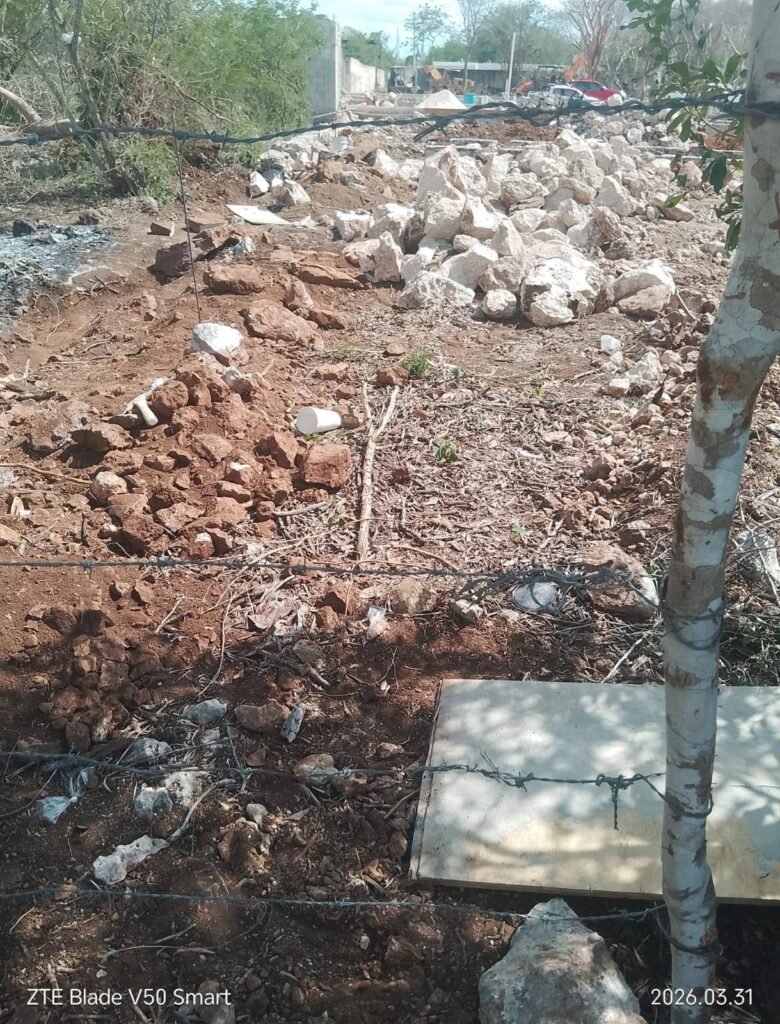 666449736 122184352934756477 8421425538914268059 n