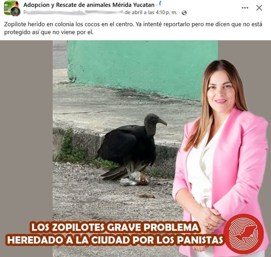 668130848 122184273830756477 8825704325966287965 n