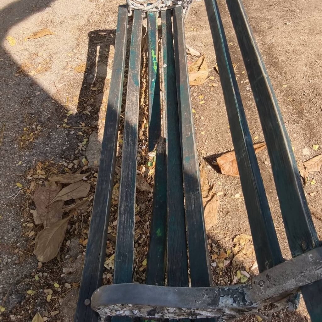 668564885 122184362150756477 7365364261185197540 n